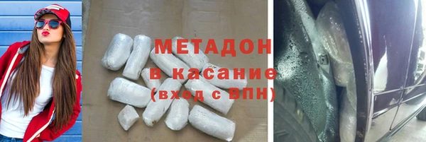 индика Алексин