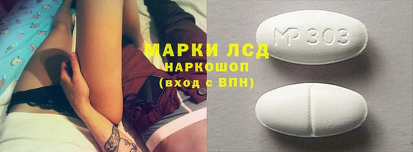 индика Алексин