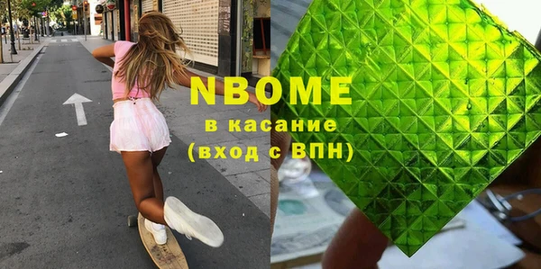 индика Алексин