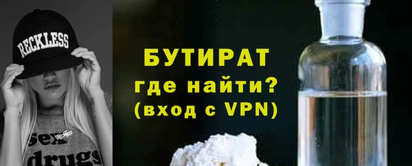 индика Алексин