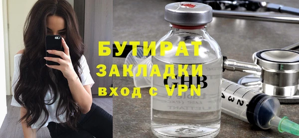индика Алексин