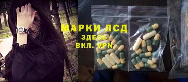 индика Алексин