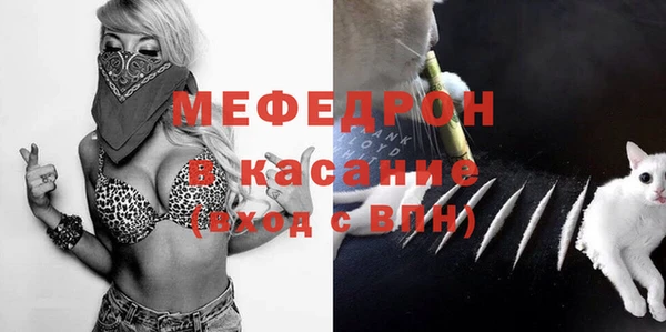 индика Алексин