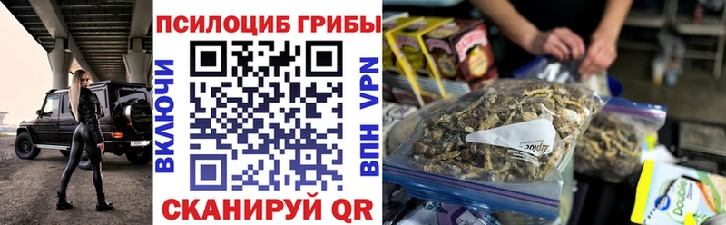 Псилоцибиновые грибы GOLDEN TEACHER  Гагарин 